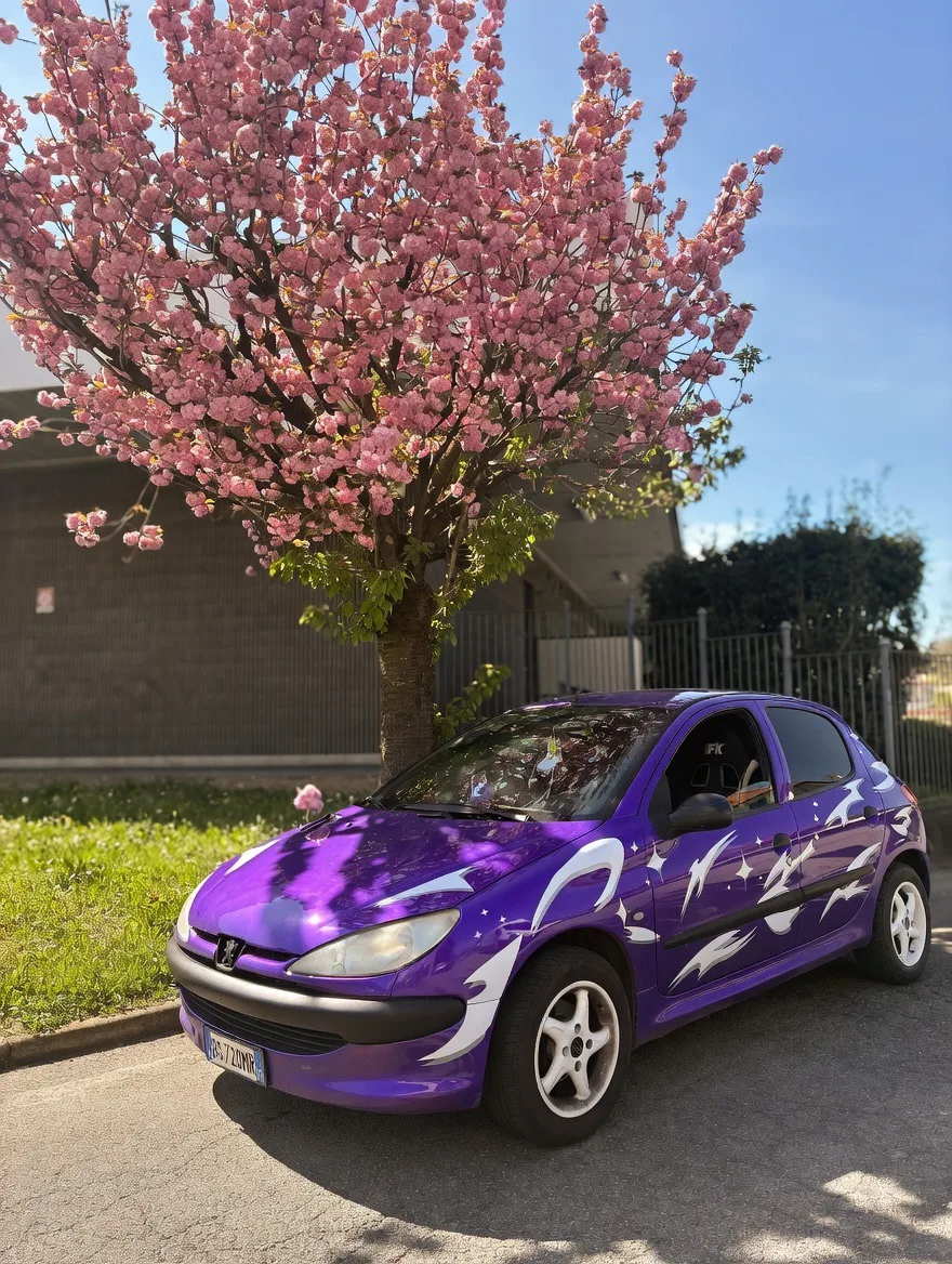 206 Verniciata