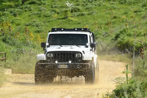 Foto Jeep Wrangler 2015 - Wrangler Polar x edition
