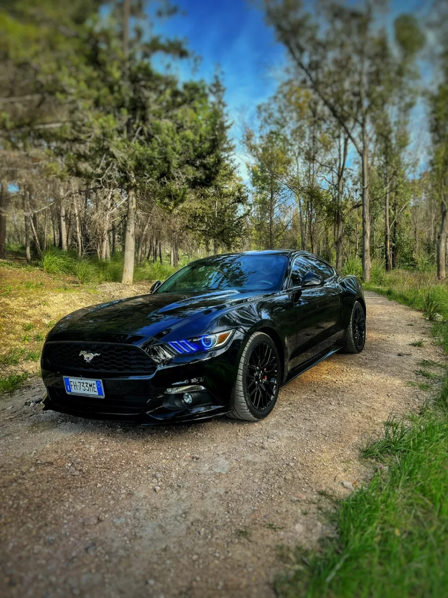 Ford Mustang 2017 - Ford mustang