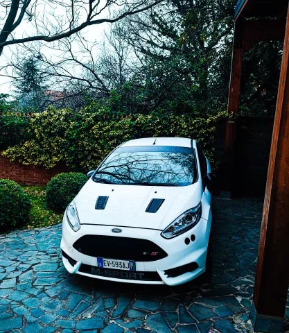 Foto Ford Fiesta 2014 - Fiesta ST MK7 STAGE 3++