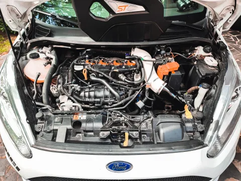 Foto Ford Fiesta 2014 - Fiesta ST MK7 STAGE 3++