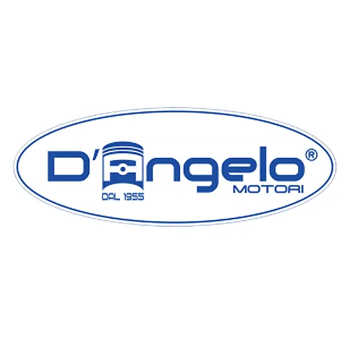D'Angelo Motori