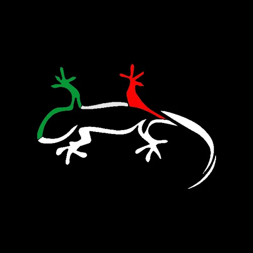 Gekkocar